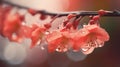 water droplets sparkled in the sunlight as they fell off the branch of red flowers. Generative AI