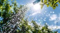 Water droplets spraying from garden hose sunny backdrop Royalty Free Stock Photo