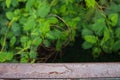 The water droplets on the steel beams formed by a recent rainstorm make crystal clear raindrops on the steel surface look beautifu