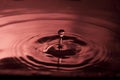 Water Drops Royalty Free Stock Photo