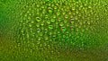Water drops. Abstract gradient backdrop Colored drop texture. Green gradient. Heavily textured image. Shallow depth of field.