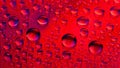 Water drops. Abstract red background. Colored macro texture many drops. Rainbow wet gradient. Heavily textured image. Shallow