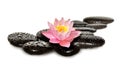 Water drops on black spa stones with Lily flower Royalty Free Stock Photo