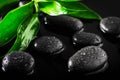 Water drops on black stones with green leaves Royalty Free Stock Photo