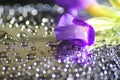 Water drops, bokeh and purple flower