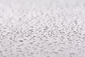 Water drops on the car roof. Royalty Free Stock Photo