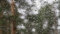 Water drops on car window closeup on rainy spring day. Blurred forest background. selective focus Royalty Free Stock Photo