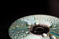 Water drops on compact disc Royalty Free Stock Photo