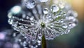 Water drops on dandelion flower. Macro shot with shallow DOF, generative ai