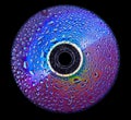 Water drops on dvd-disk. Royalty Free Stock Photo