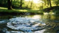 Water Drops Falling Into Calm Forest Stream Royalty Free Stock Photo