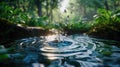 Water drops falling creating ripple effect in forest Royalty Free Stock Photo