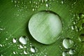 Water drops on fresh green leaf