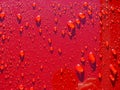 Water drops on freshly waxed red car