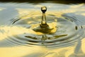 Water Drops Frozen At High Speed In Golden Pool Of Water Showing Surface Tension And Droplet Structure