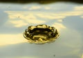 Water Drops Frozen At High Speed In Golden Pool Of Water Showing Surface Tension And Droplet Structure