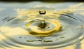 Water drops frozen at high speed in golden pool of water showing surface tension and droplet structure