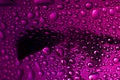 Water drops on glass. Purple beautiful abstract background. Macro Royalty Free Stock Photo