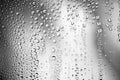 Water drops on glass surface. Droplets black and white background Royalty Free Stock Photo