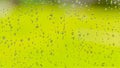 Water drops on glass window with green background