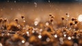 water drops on the grass autumn landscape nature background dried flowers water drops