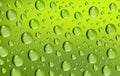 Water Drops on green background. Royalty Free Stock Photo