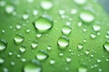 water drops green background image Royalty Free Stock Photo