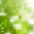 Water drops on green background. plus EPS10 Royalty Free Stock Photo