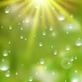 Water drops on green background. plus EPS10 Royalty Free Stock Photo