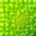 Water drops on green background. Royalty Free Stock Photo