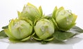 Water drops on green lotus flower. Isolated on white background.