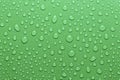 Water drops on green surface Royalty Free Stock Photo