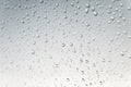a water drops on grey background. Macro. Royalty Free Stock Photo