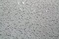 Water drops on grey color car surface Royalty Free Stock Photo