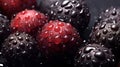 Water Drops on Group of Fresh Blackberries As Defocused Background Close Up