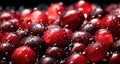 Water Drops on Group of Fresh Cranberries As Defocused Background Close Up Image Selective Focus