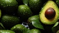 Water Drops on Group of Fresh Green Avocados As Background Selective Focus