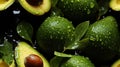 Water Drops on Group of Fresh Green Avocados As Background Selective Focus