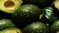 Water Drops on Group of Fresh Green Avocados As Background Selective Focus