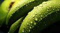 Water Drops on Group of Group of Green Bananas with Copy Space Background Selective Focus