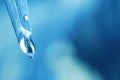 Water drops on leaf against background, closeup. Toned in blue Royalty Free Stock Photo