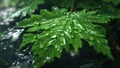 Water Drops on Leaf, Closeup Raindrop Green Leaf, using Generative ai Royalty Free Stock Photo