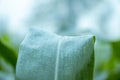 Water drops on leaf with greenery fresh background, Corn field agriculture. Green nature. Rural farm land Royalty Free Stock Photo