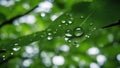 water drops on leaf heart in nature with green leaves and water drops a photo a symbol of love and life Royalty Free Stock Photo