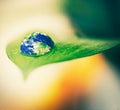 Water drops, leaf and plant in earth, nature or environment on a background in summer. World, droplet or planet with Royalty Free Stock Photo