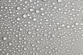 Water drops on light background, top view, close-up, macro. Great background with natural water drops and natural light Royalty Free Stock Photo