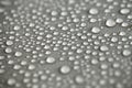 Water drops on light background, top view, close-up, macro. Great background with natural water drops and natural light Royalty Free Stock Photo