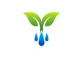 Water drops logo,dew and plant symbol,spring icon
