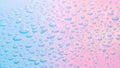 Water drops in neon lighting. Abstract unicorn colored background. Colorful texture backdrop Royalty Free Stock Photo