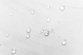 Water drops pattern on feather texture with selective focus, macro. Concept of tenderness and softness, close-up Royalty Free Stock Photo